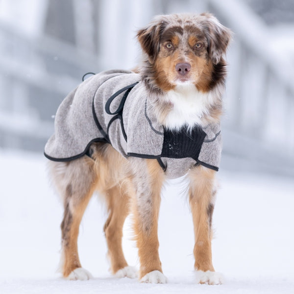 Delta ulldekken hund