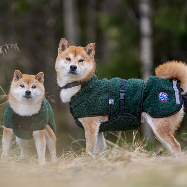 Selva ulldekken hund