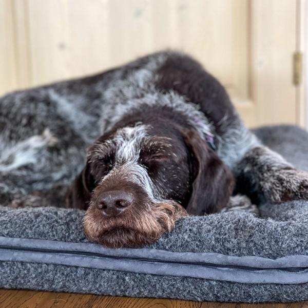 BAILEY - Canelana hundeseng i 100% ull med opphøyde kanter