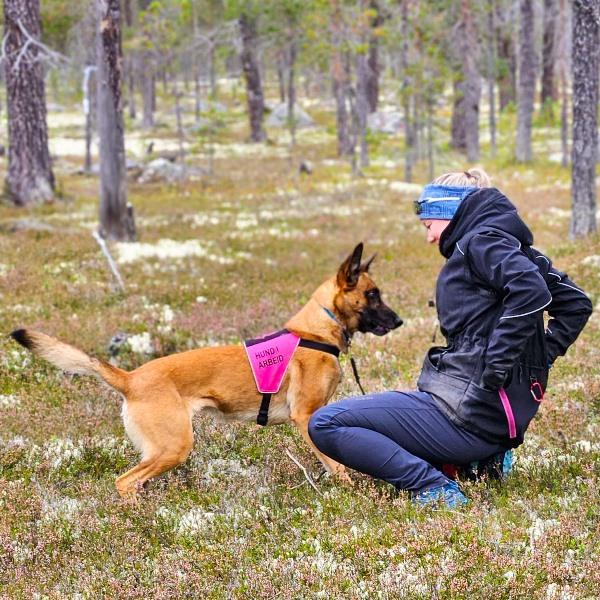 Canelana markeringsdekken-treningsvest hund: hund i arbeid