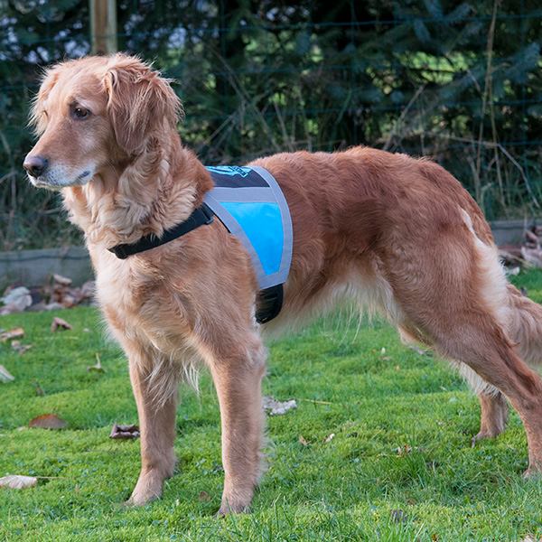 Canelana refleksdekken-refleksvest hund