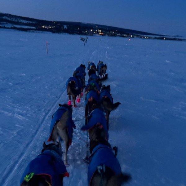 Canelana Racing 8-11 stk