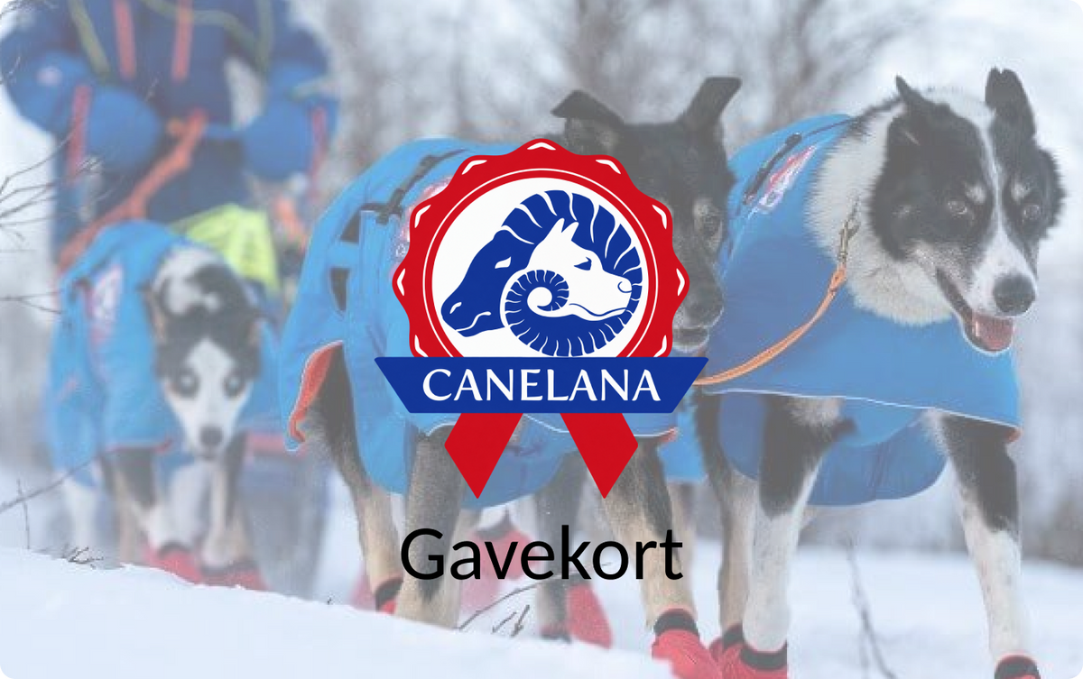 Gavekort