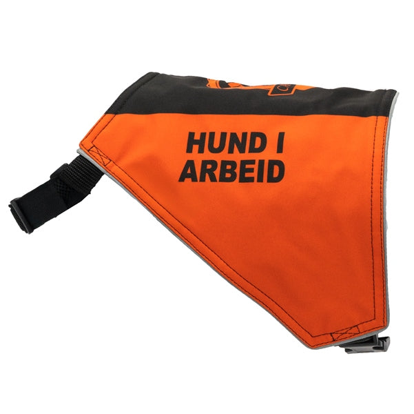 Canelana high-visibility training vest for dogs: dog at work