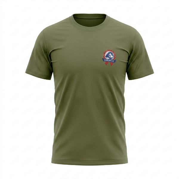 T skjorte – organisk bomull - unisex