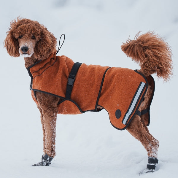Delta ulldekken hund