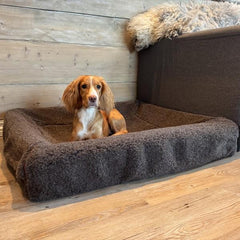 TEDDY - Canelana 100% ull trekk til hundeseng