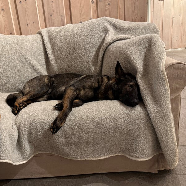 LUNA ull-pledd