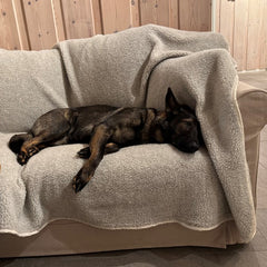 LUNA ull-pledd