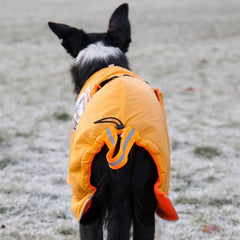 Sporting - aktivitetsdekken hund med 100% ullfór
