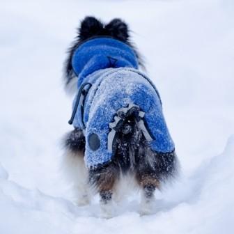Lana blå - tynt ulldekken hund