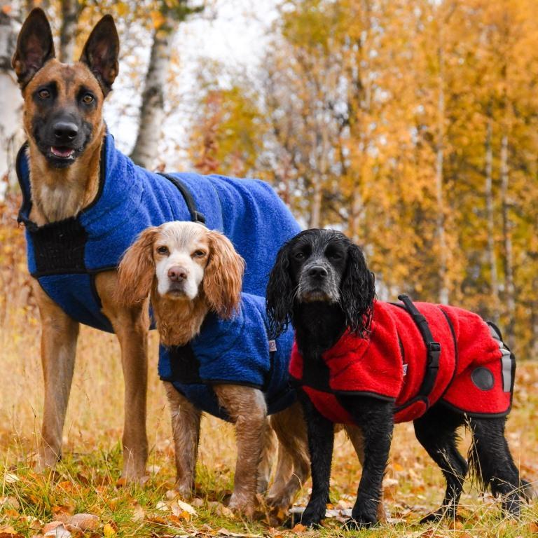 Lana blå - tynt ulldekken hund