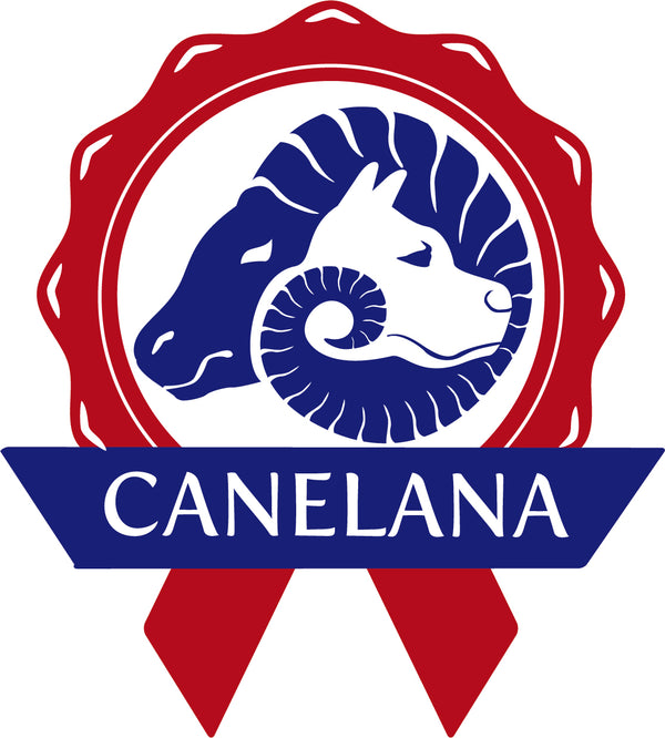 Canelana