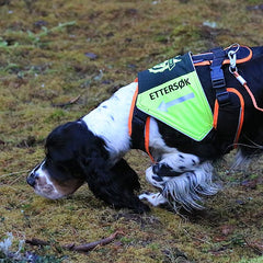 Canelana markeringsdekken-vest hund: Sporio ettersøk
