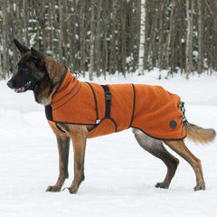 Delta ulldekken hund