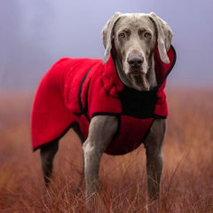 Lana rød - tynt ulldekken hund
