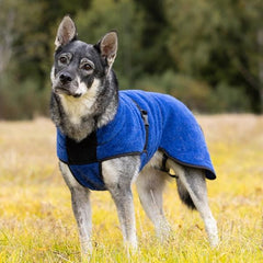 Lana blå - tynt ulldekken hund
