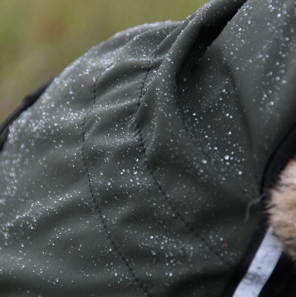 Cover sort vind-/regndekken hund