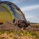 CAVE - Canelana 100% ull varmepose hund