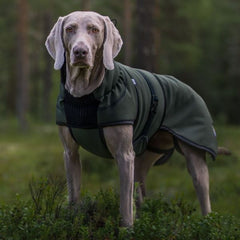 Thermo grønn-100% ull dekken hund softshell ytterstoff