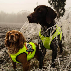 Neon beskyttelsesvest med 100% ullfór hund