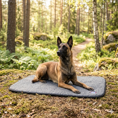 TERRA - Canelana 100% ullmadrass hund - vanntett underside