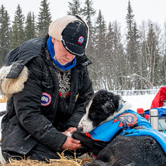 Isbjørn Hundekjørerlue